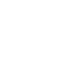 Our Values – Passion, Commitment, and Customer Satisfaction